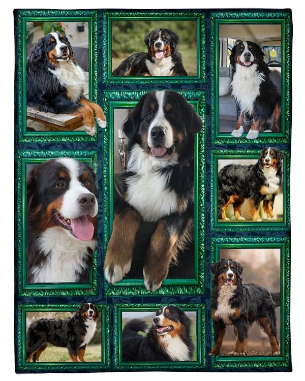 Window Frames Bernese Mountain Dog Blanket