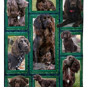 Window Frames Boykin Spaniel Blanket