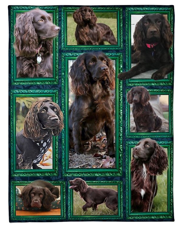 Window Frames Boykin Spaniel Blanket