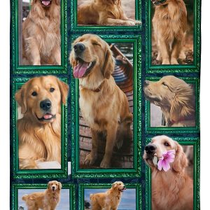 Window Frames Golden Retriever Blanket