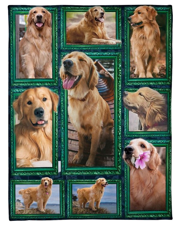 Window Frames Golden Retriever Blanket