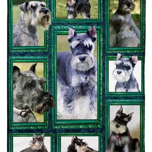 Window Frames Miniature Schnauzer Blanket