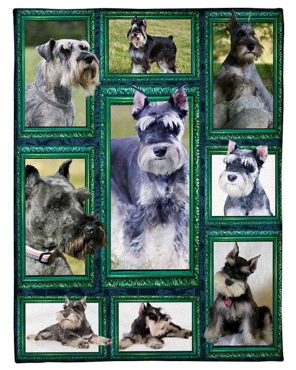 Window Frames Miniature Schnauzer Blanket